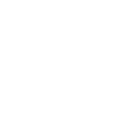 White Excel icon